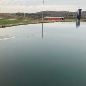 Meet your Posher, Arnoldo